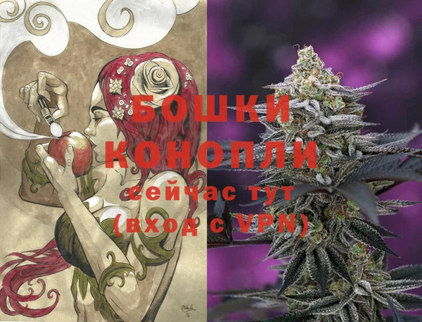 ГАЛЛЮЦИНОГЕННЫЕ ГРИБЫ Гусь-Хрустальный