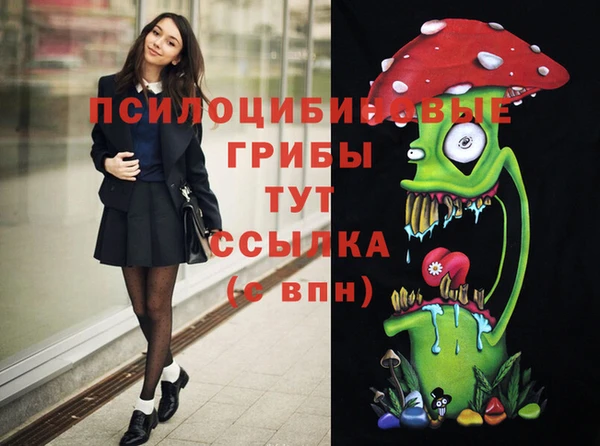 хмурый Горняк
