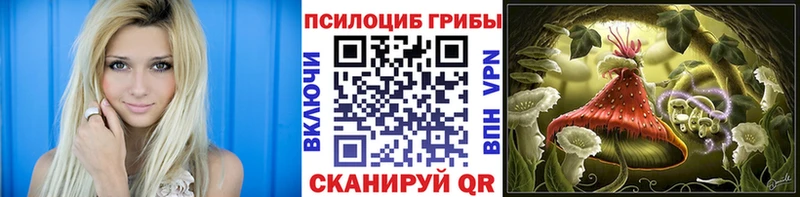 Галлюциногенные грибы Psilocybe  Кызыл 